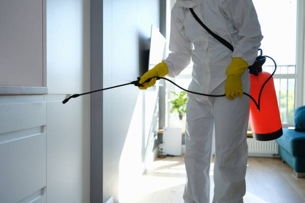 Attic Mold Removal in Mapleton, ND